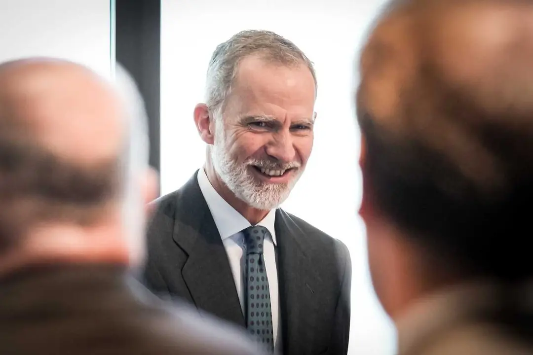 El Rey Felipe VI