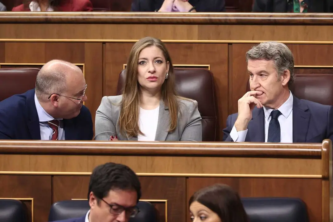 Archivo - la portavoz del PP en el Congreso, Ester Mu&ntilde;oz,  entre el secretario general , Miguel Tellado, y  el presidente del partido, Alberto N&uacute;&ntilde;ez Feij&oacute;o, durante una sesi&oacute;n de control al Gobierno,