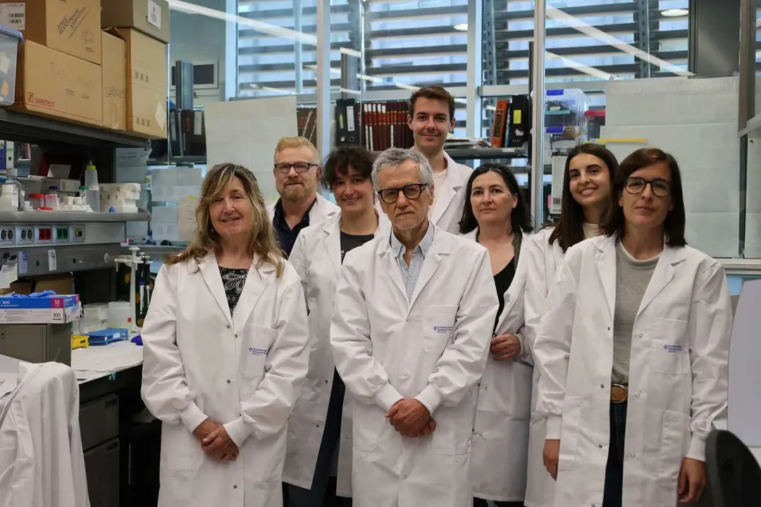 Identifican una nueva estrategia contra el c&aacute;ncer de p&aacute;ncreas que ataca las c&eacute;lulas tumorales