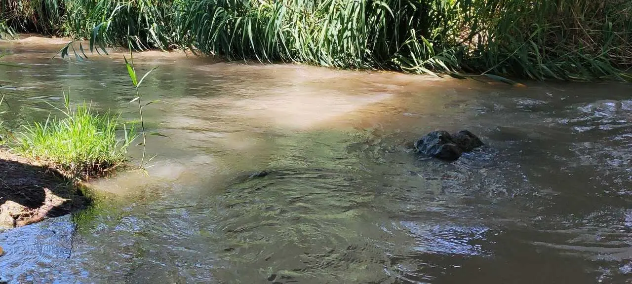 R&iacute;o Huerva a su paso por Zaragoza.