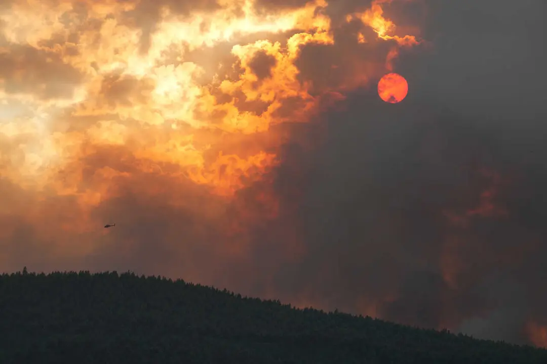 incendio en el monte de la aldea de Casal, cercano a Carcac&iacute;a (Padr&oacute;n)