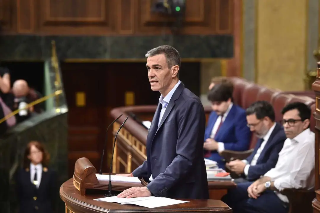 El presidente del Gobierno, Pedro S&aacute;nchez, interviene durante una sesi&oacute;n plenaria en el Congreso 