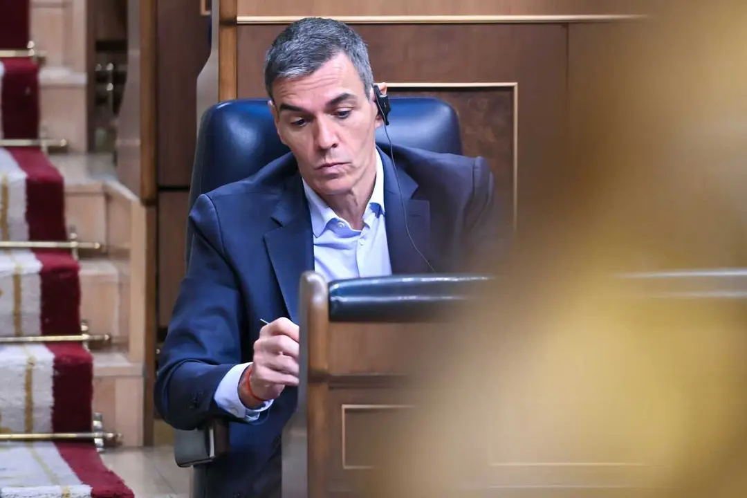 El presidente del Gobierno, Pedro S&aacute;nchez, durante una sesi&oacute;n plenaria en el Congreso 