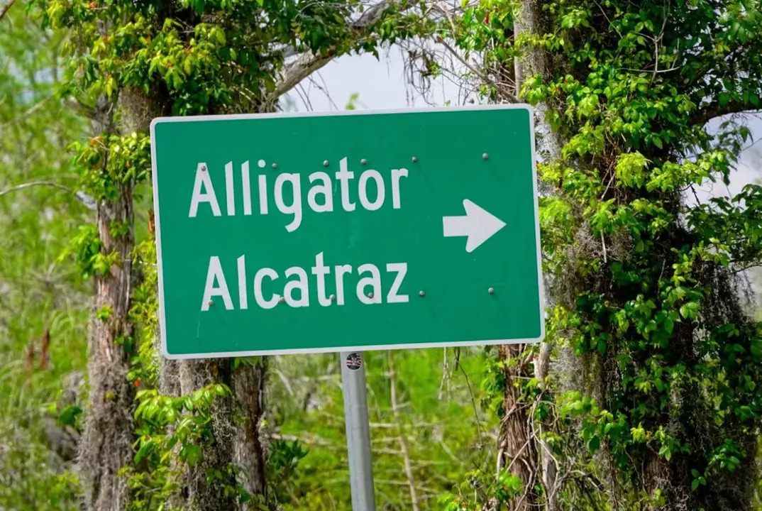 El 'Alcatraz de los caimanes' en Florida cierra menos de un a&ntilde;o tras abrir
