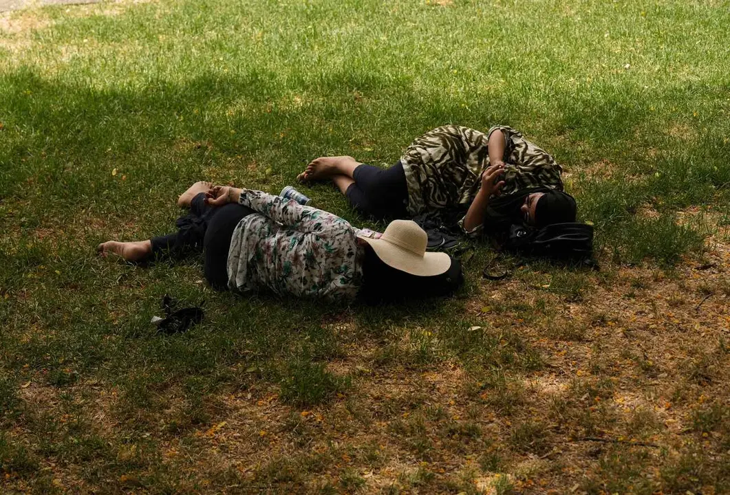 Dos personas tumbadas a la sombra. A 23 de junio de 2026, en Sevilla (Andaluc&iacute;a, Espa&ntilde;a). 