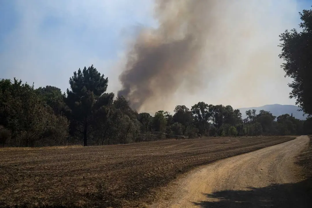 Vista del incendio de La Bisbal d'Empord&agrave;, a 4 de julio de 2026, en Cru&iuml;lles-Sant Sadurn&iacute; de l'Heura, Girona, Catalu&ntilde;a (Espa&ntilde;a).