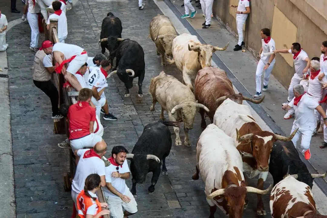 Primer encierro delos Sanfermines de 2026, protagonizado por la ganader&iacute;a Fuente Ymbro