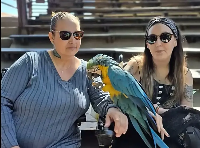 Virginia y Alida