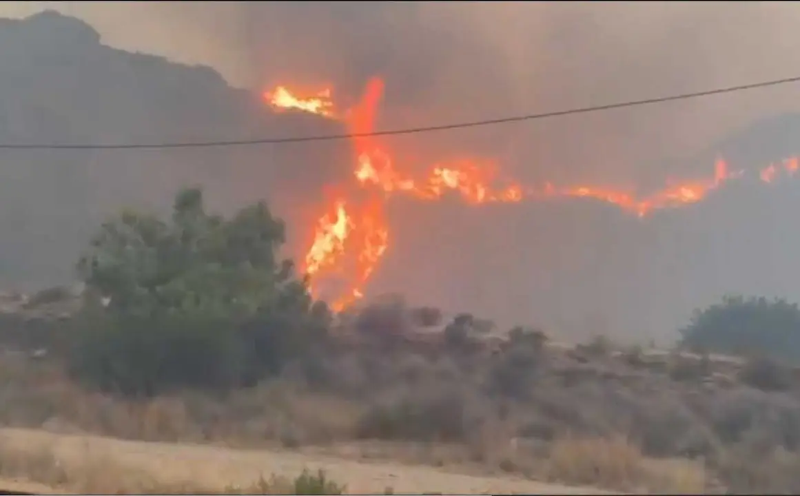Incendio de Los Gallardos (Almer&iacute;a)