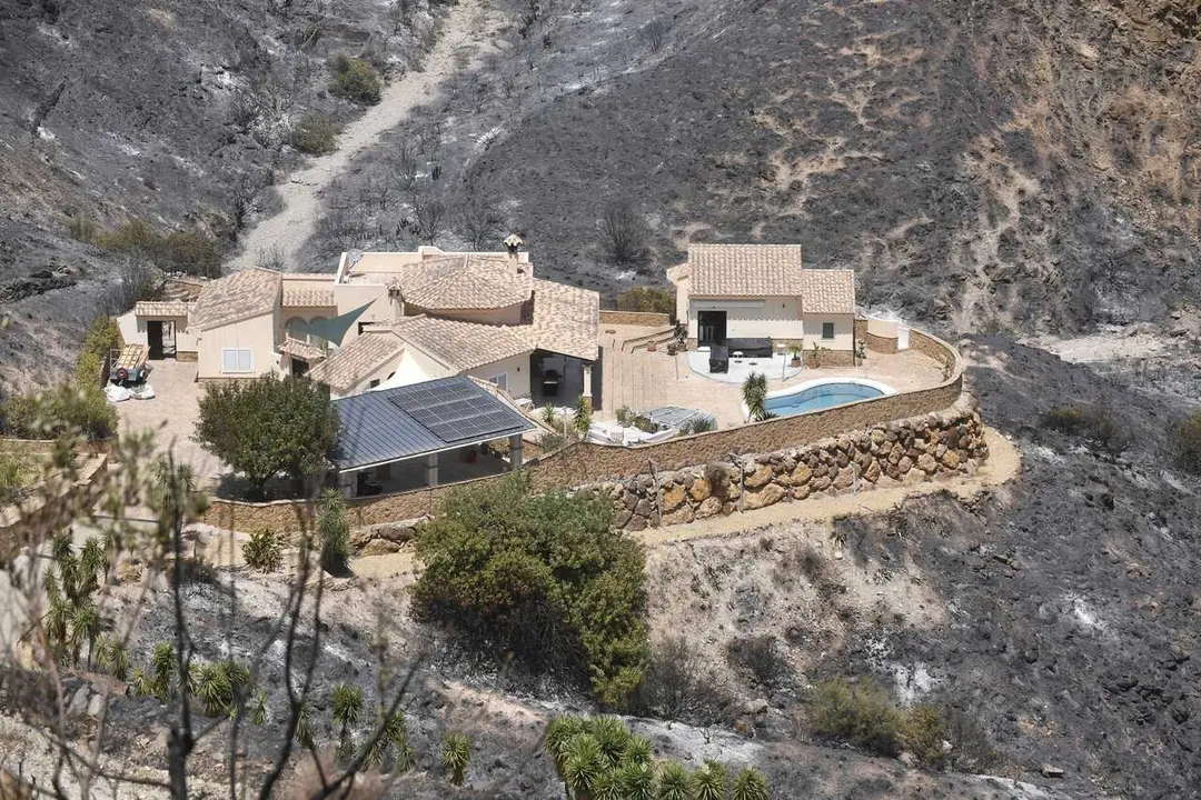 Terrenos calcinados en el incendio forestal, a 10 de julio de 2026, en Los Gallardos, Almer&iacute;a, Andaluc&iacute;a (Espa&ntilde;a).  