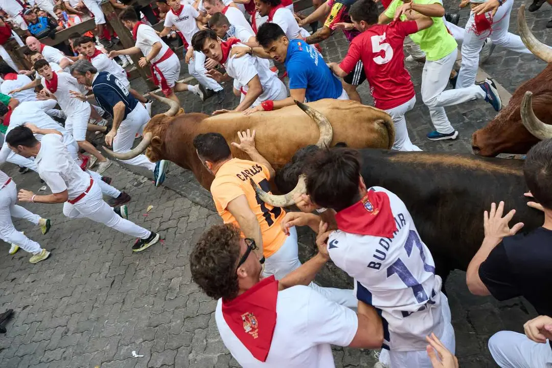 Sexto encierro de los Sanfermines de 2026 con toros de la ganader&iacute;a de La Palmosilla.