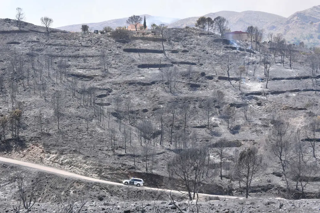 10-07-2026.- Europa Press . Incendio en la provincia de Almeria entre los pueblos de Bedar y los Gallardos en donde han fallecido 12 personas por ahora los medios de extincion siguen trabajando para extinguir las llamas. Foto: Javier Carrion/EP