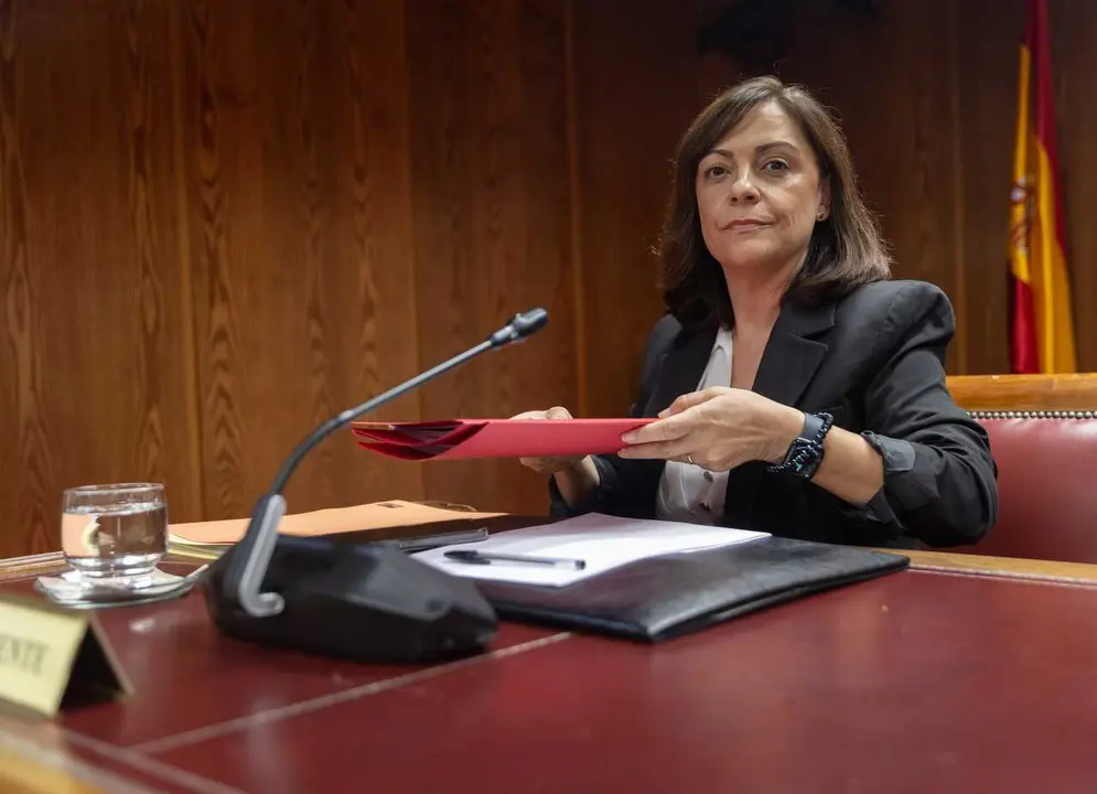 Archivo - La Gerente del Partido Socialista Obrero Espa&ntilde;ol (PSOE), Ana Mar&iacute;a Fuentes Pacheco, comparece ante la comisi&oacute;n sobre el caso Koldo, en el Senado, a 23 de octubre de 2025, en Madrid (Espa&ntilde;a). 
