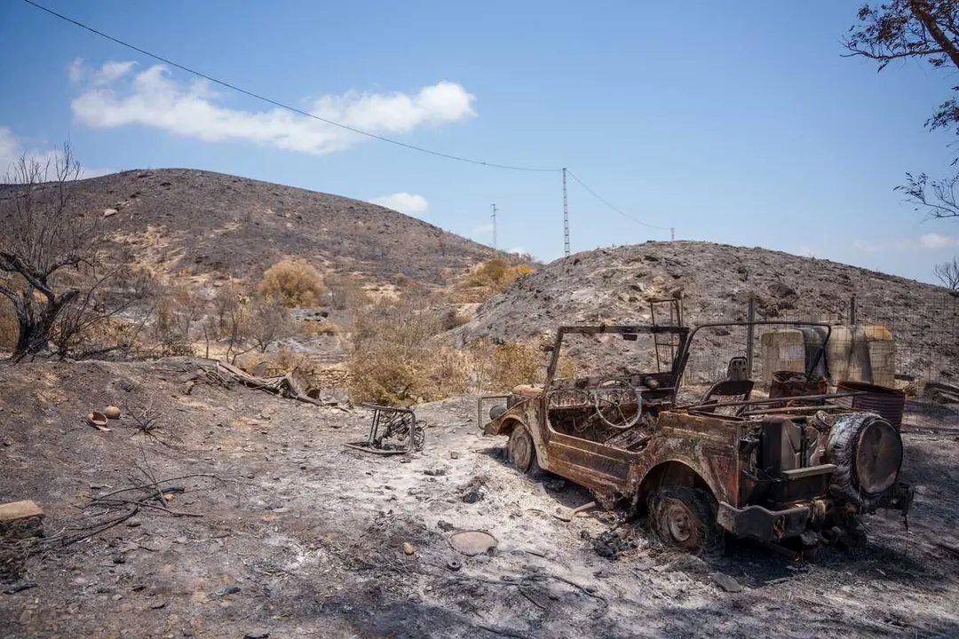 Zona afectada por el incendio de Los Gallardos (Almer&iacute;a).