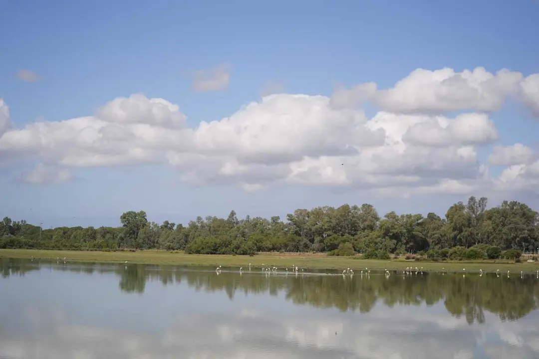 Las marismas de Do&ntilde;ana en imagen de archivo. 