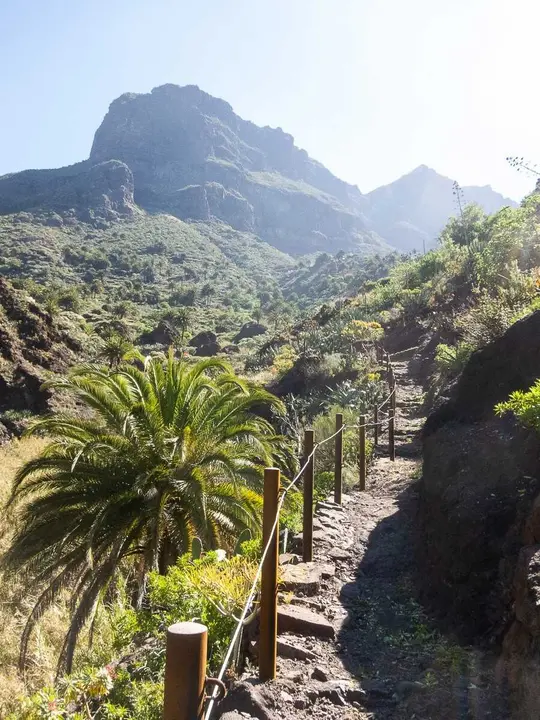 Archivo - Barranco de Masca