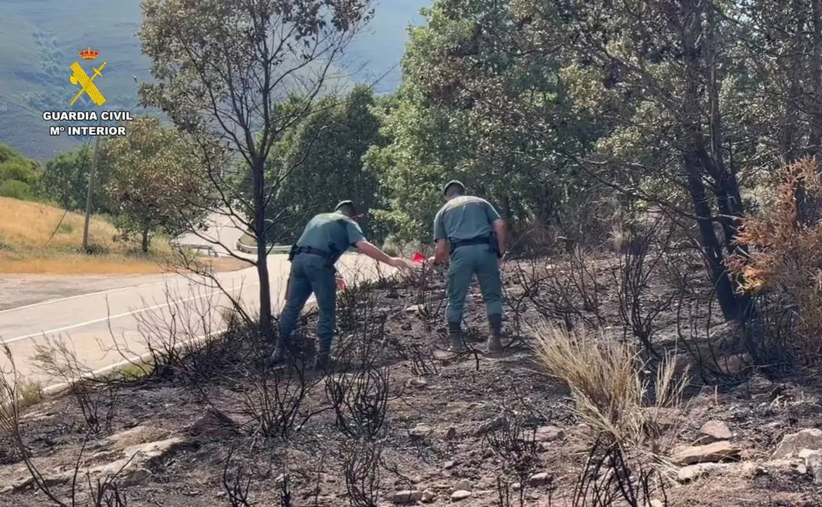 Detenido un hombre e investigado otro por presuntamente provocar 15 incendios en la provincia de Zamora