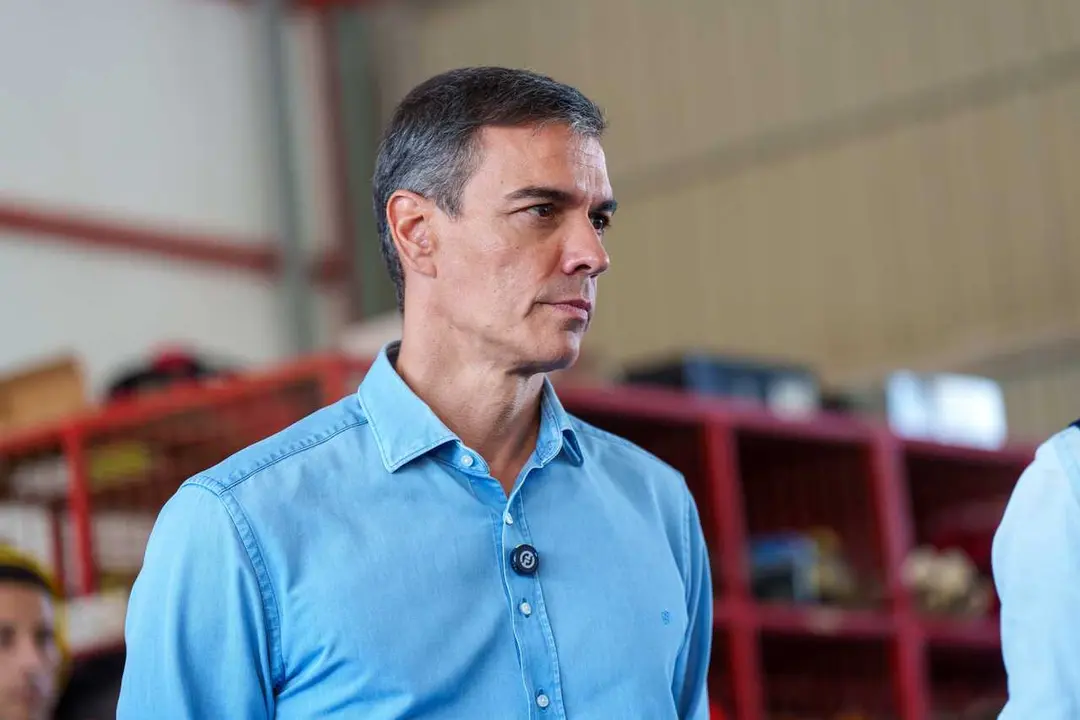 El presidente del Gobierno, Pedro S&aacute;nchez
