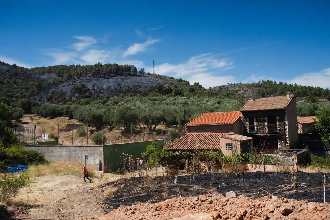 Superficie forestal quemada durante el incendio forestal, a 19 de julio de 2026, en Muriel, Guadalajara, Castilla-La Mancha (Espa&ntilde;a). Los trabajos de extinci&oacute;n est&aacute;n siendo muy complicados debido a la fuerza del viento, que est&aacute; empujando las llamas hacia