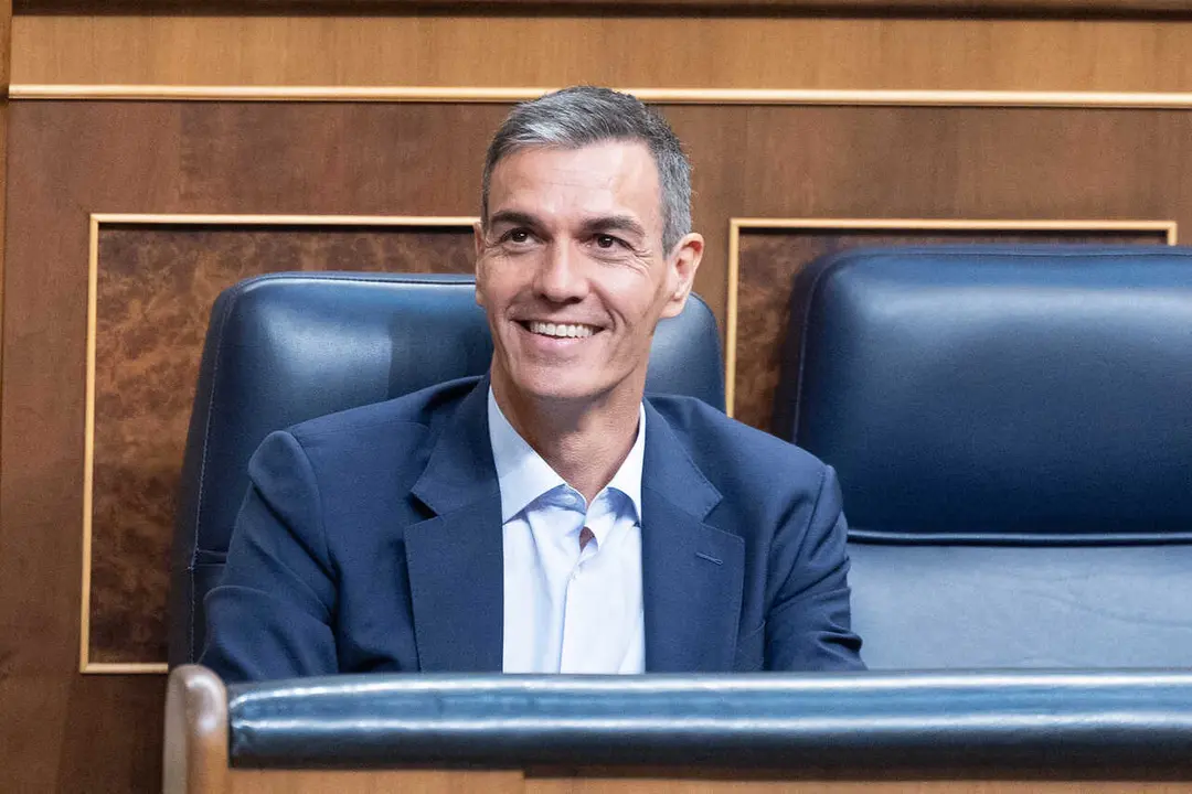 El presidente del Gobierno, Pedro S&aacute;nchez