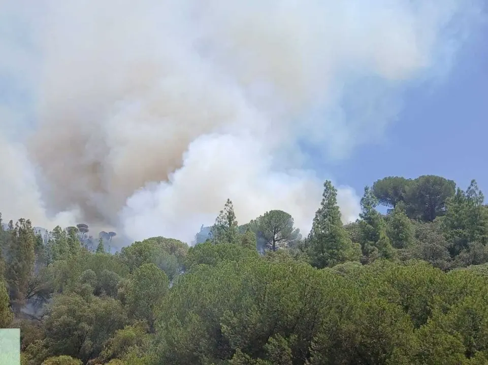 Incendio forestal en un paraje de Cerro Muriano, en C&oacute;rdoba, junto a la carretera N-432.