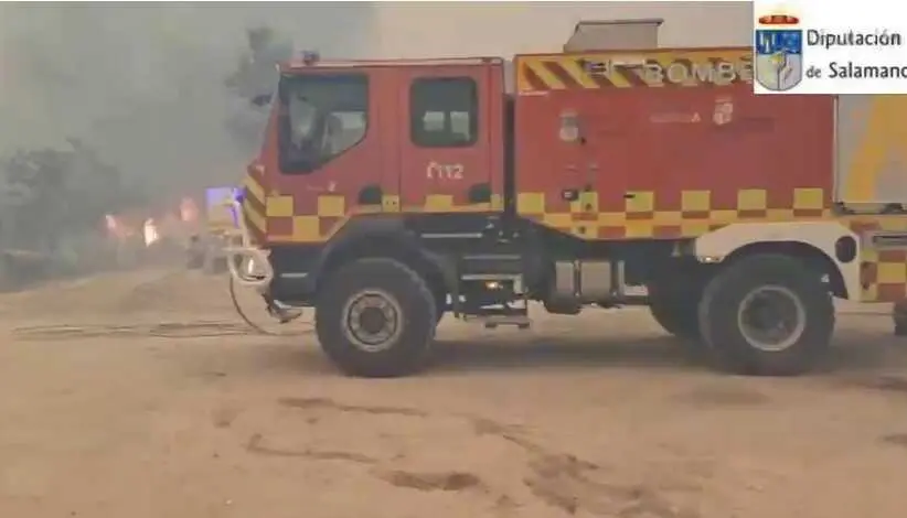 Los Bomberos de la Diputaci&oacute;n de Salamanca rescatan a 20 perros atrapados por el fuego en Cebreros (&Aacute;vila)