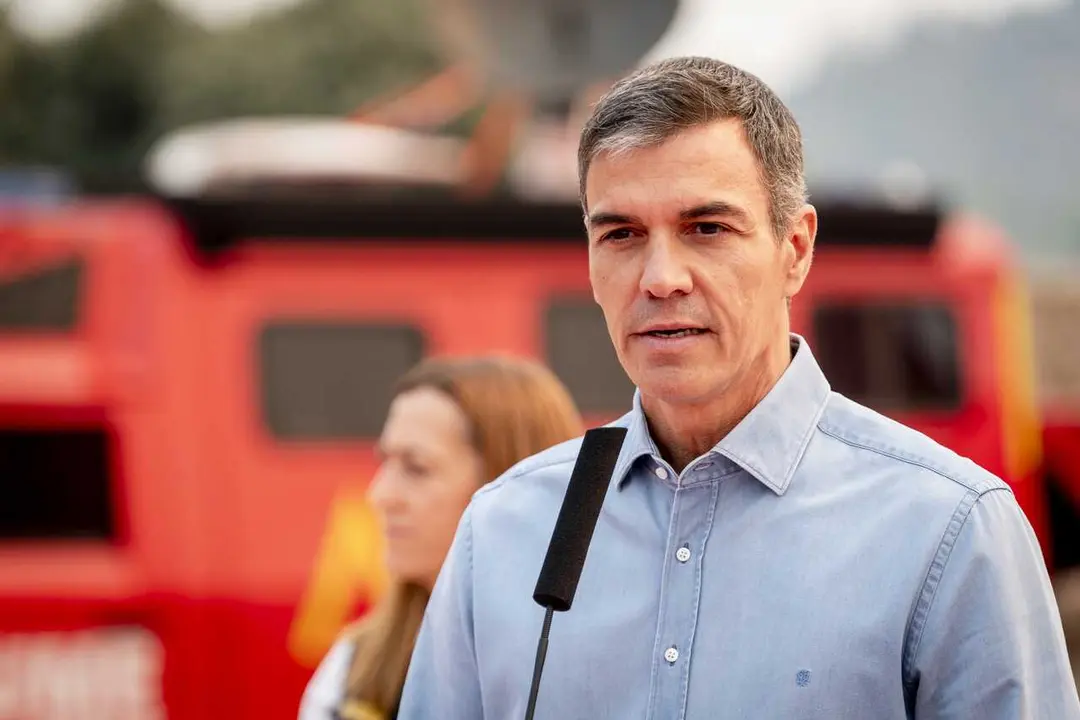 El presidente del Gobierno, Pedro S&aacute;nchez