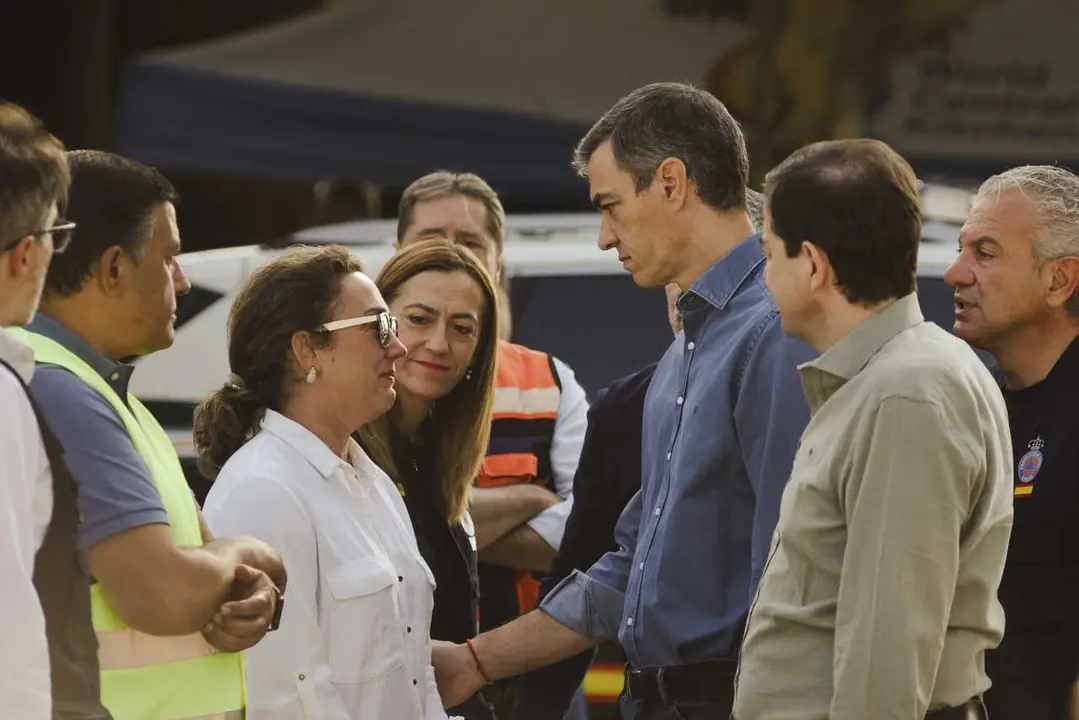 El presidente del Gobierno, Pedro S&aacute;nchez (c), acompa&ntilde;ado del presidente de la Junta de Castilla y Le&oacute;n, Alfonso Fern&aacute;ndez Ma&ntilde;ueco (2d); la consejera de Medio ambiente de Castilla y Le&oacute;n, Mar&iacute;a Gonz&aacute;lez Corral (3i), y del delegado del Gobierno en Castilla