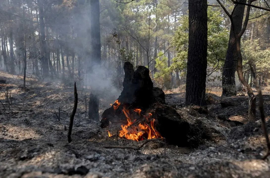 Puntos calientes tras el paso del incendio forestal, a 27 de julio de 2026, en Casillas, &Aacute;vila, Castilla y Le&oacute;n (Espa&ntilde;a). 