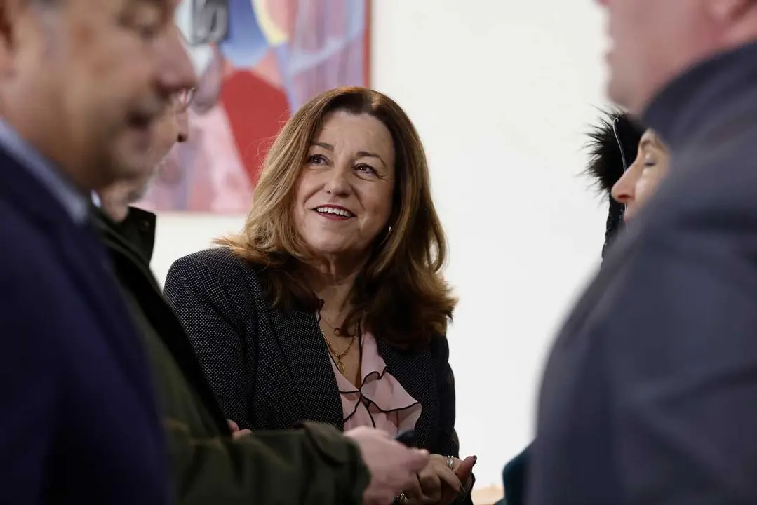Archivo - La consejera de Desarrollo Educativo y Formaci&oacute;n Profesional, Mar&iacute;a del Carmen Castillo.