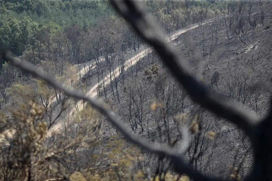 La Utrera, Valdesamario, Le&oacute;n. Incendio declarado en la tarde del martes y que oblig&oacute; a la declaraci&oacute;n como alerta 2 por proximidad a localidades. En estos momentos el fuego se encuentra perimetrado y controlado