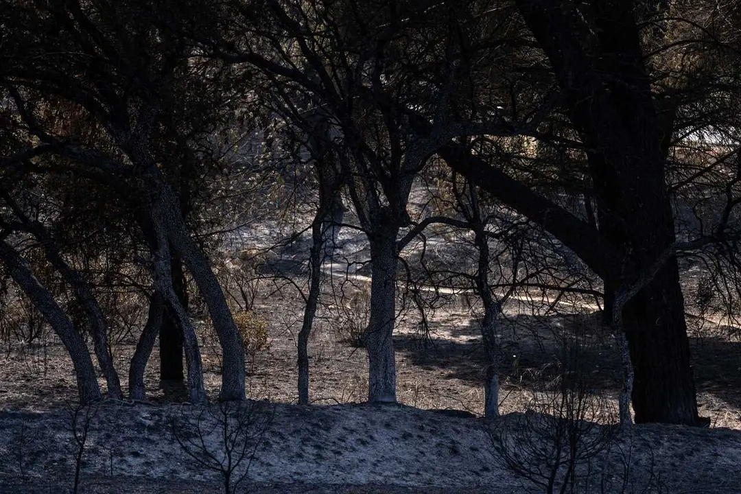 Zonas calcinadas en los alrededores del Pantano de San Juan tras el paso del incendio forestal en la Sierra Oeste de Madrid, a 28 de julio de 2026, en Madrid (Espa&ntilde;a). La intensa labor desarrollada durante la noche por el dispositivo de extinci&oacute;n ha permi