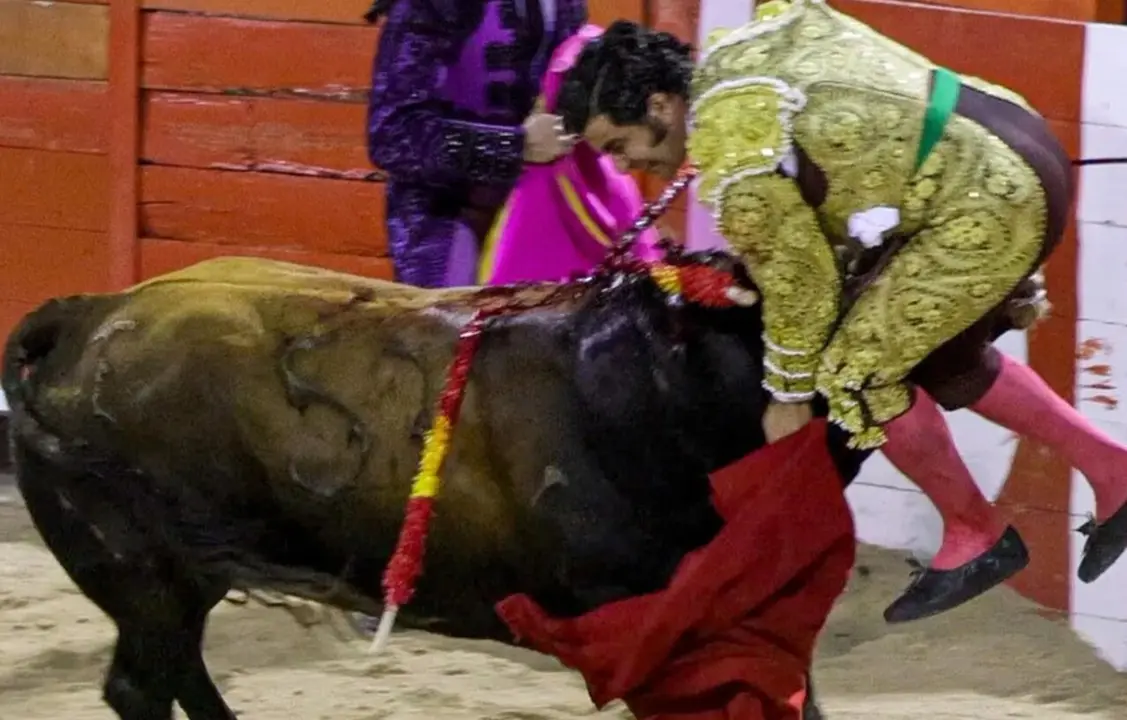 Morante en la cogida