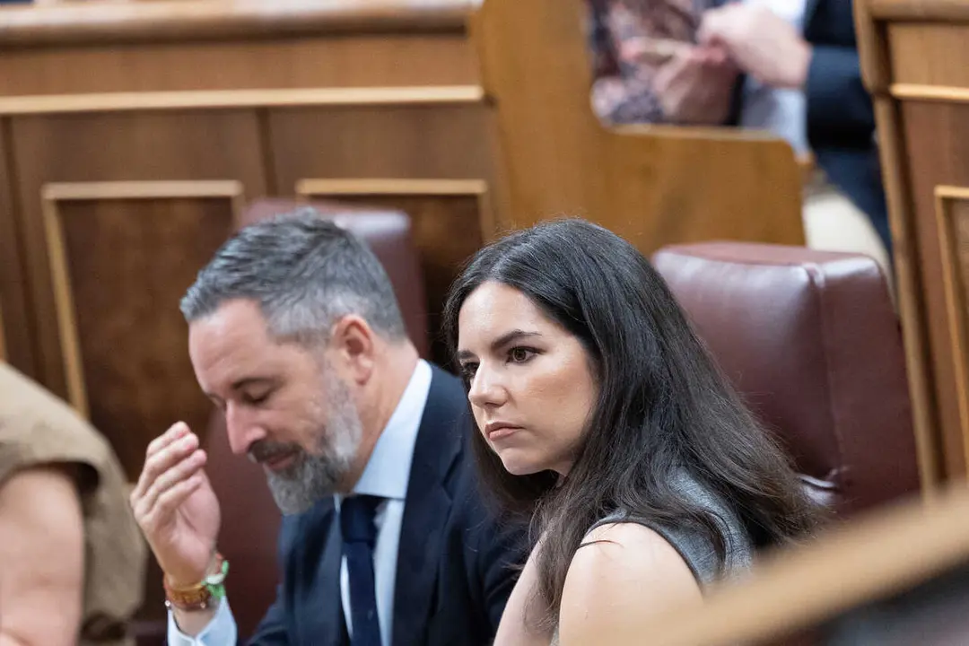 Archivo - El presidente Vox, Santiago Abascal, y la diputada de Vox, Pepa Mill&aacute;n, durante una sesi&oacute;n plenaria en el Congreso 