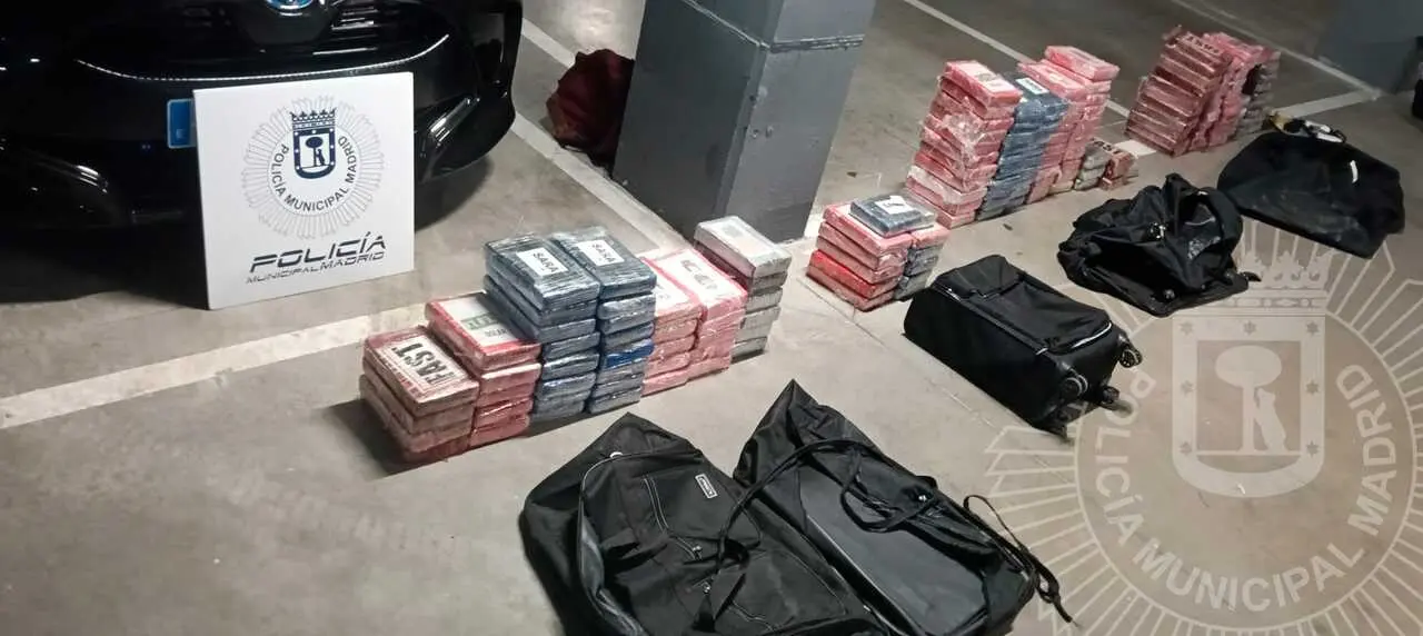 Paquetes incautados.