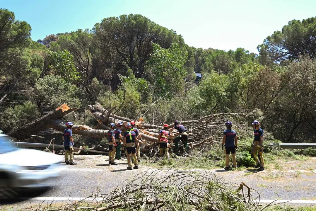 Zonas calcinadas tras el paso del incendio de la Sierra Oeste de Madrid, a 30 de julio de 2026, en Pelayos de la Presa, Madrid (Espa&ntilde;a). La Comunidad de Madrid ha recuperado el control del operativo contra el incendio forestal de la Sierra Oeste, que ya n