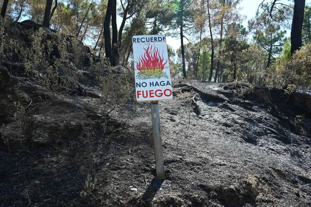 Zonas calcinadas tras el paso del incendio de la Sierra Oeste de Madrid, a 30 de julio de 2026, en Pelayos de la Presa, Madrid (Espa&ntilde;a). La Comunidad de Madrid ha recuperado el control del operativo contra el incendio forestal de la Sierra Oeste, que ya n