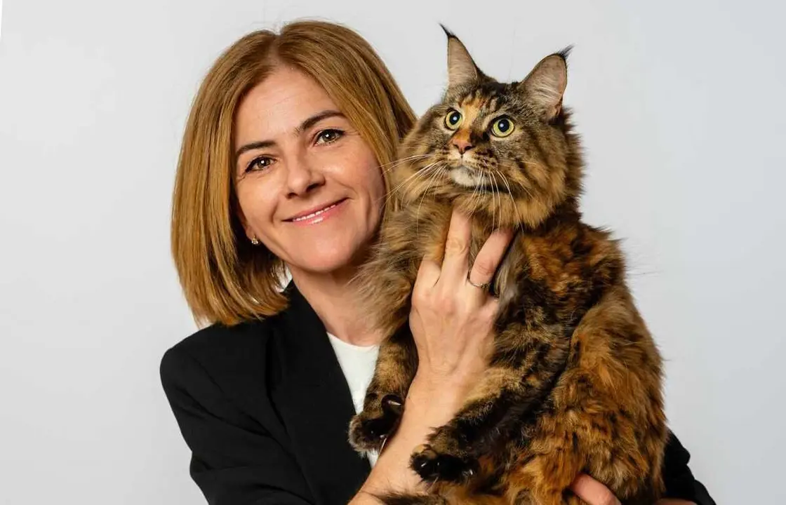 Sonia C&oacute;zar, experta en peluquer&iacute;a felinaSonia C&oacute;zar, experta en peluquer&iacute;a felina