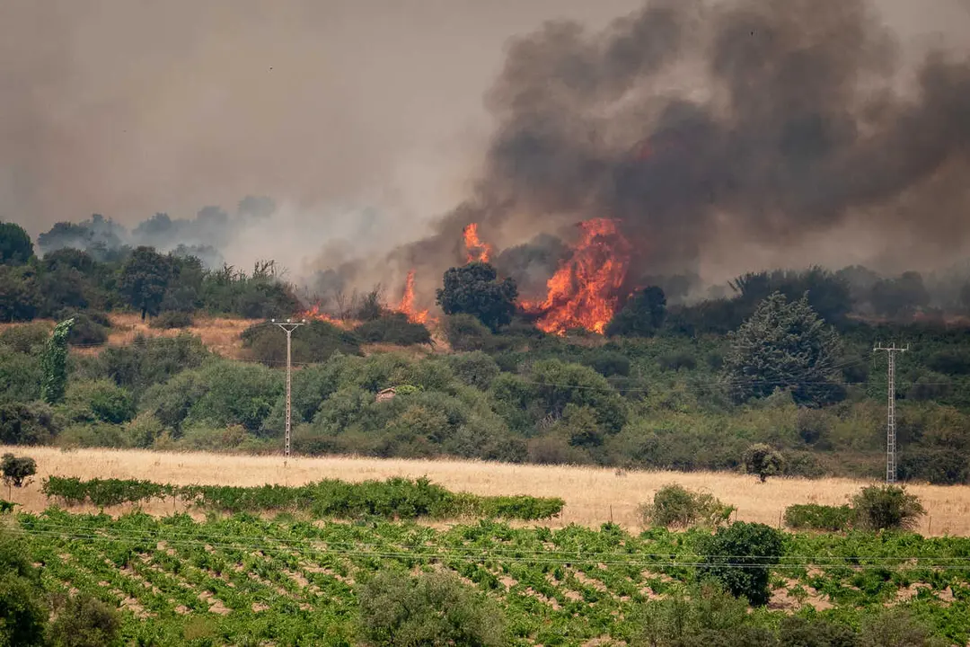 Vista del incendio forestal, a 25 de julio de 2026, en San Mart&iacute;n de Valdeiglesias, Madrid (Espa&ntilde;a). 