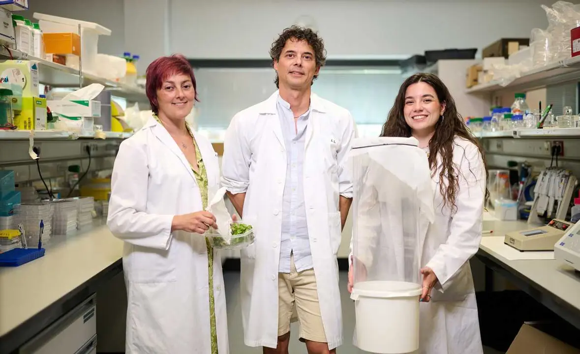 Archivo - De izq. A dcha.: Rosa Murillo P&eacute;rez, I&ntilde;igo Ruiz de Escudero Fuentemilla y Gemma C&aacute;rcamo Ochoa, en uno de los laboratorios del Instituto IMAB.