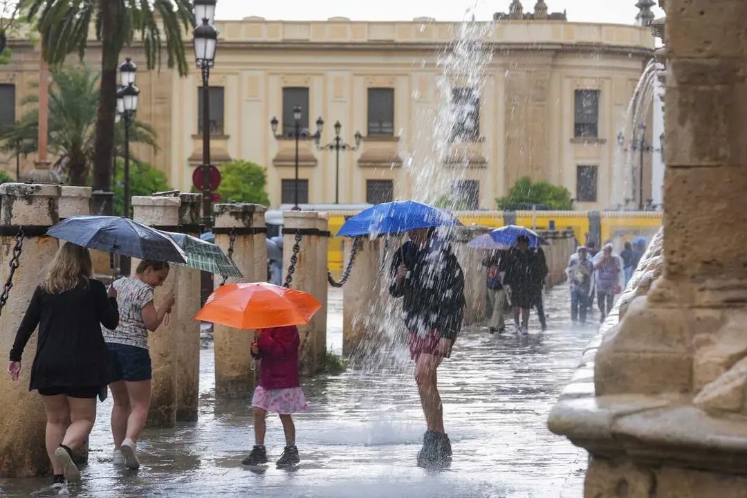 Archivo - Transe&uacute;ntes protegidos con paraguas durante las fuertes lluvias. A 19 de junio de 2024, en Sevilla (Andaluc&iacute;a, Espa&ntilde;a). Durante la jornada de hoy mi&eacute;rcoles algunas zonas de la provincia de Sevilla vivir&aacute; fuertes lluvias.