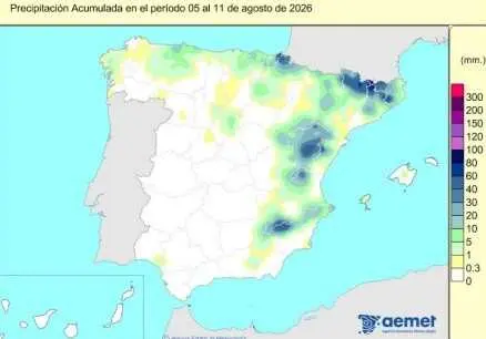 Precipitaciones al inicio del a&ntilde;o hidrol&oacute;gico el pasado 1 de octubre, hasta el 11 de agosto de 2026