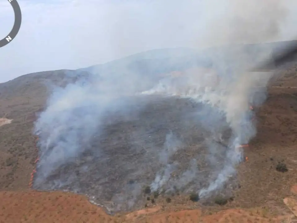 Imagen del incendio forestal de Tur&oacute;n (Granada).