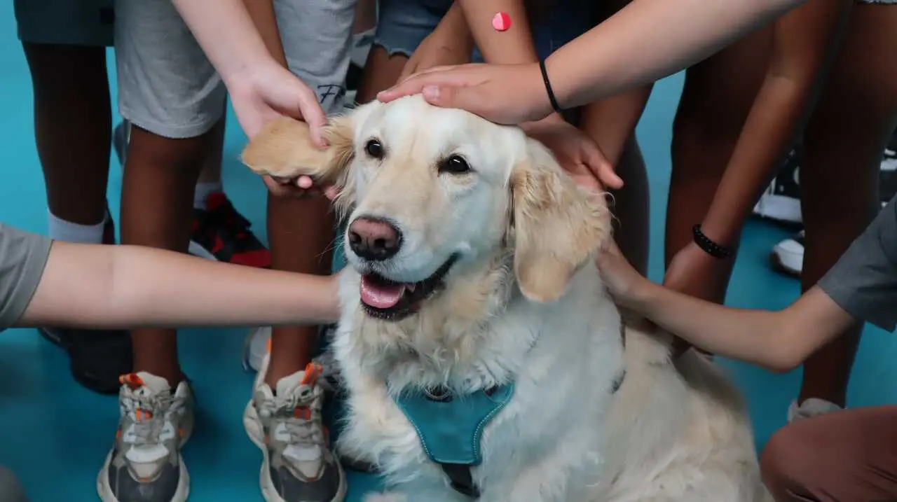 Archivo - Imagen de recurso de ni&ntilde;os acariciando un perro.