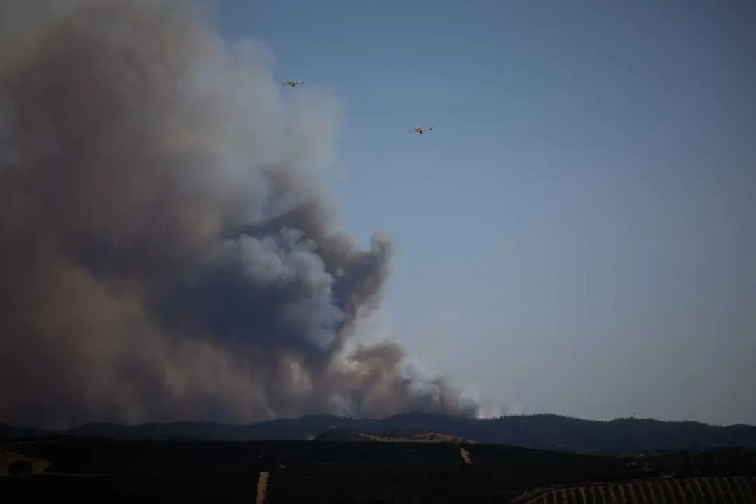 Imagen de zona afectada por el incendio de Niebla (Huelva). 