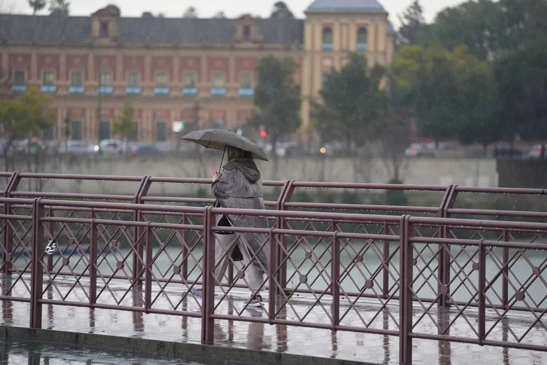 Archivo - Una persona se protege de la lluvia con un paraguas. A 03 de marzo de 2025, en Sevilla (Andaluc&iacute;a, Espa&ntilde;a).