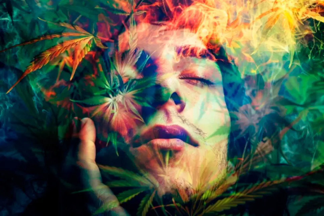 Revelan que el cannabis podr&iacute;a adelantar la aparici&oacute;n de la psicosis