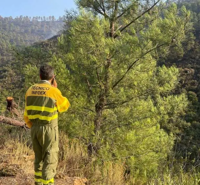 T&eacute;cnico del Plan Infoex en el incendio de Pinofranqueado (C&aacute;ceres).