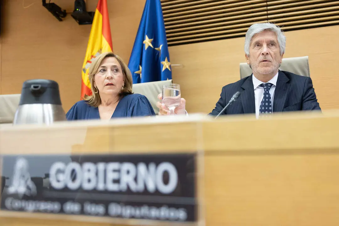 El ministro de Interior, Fernando Grande Marlasaka, durante una comparecencia ante la Comisi&oacute;n de Interior en el Congreso de los Diputados