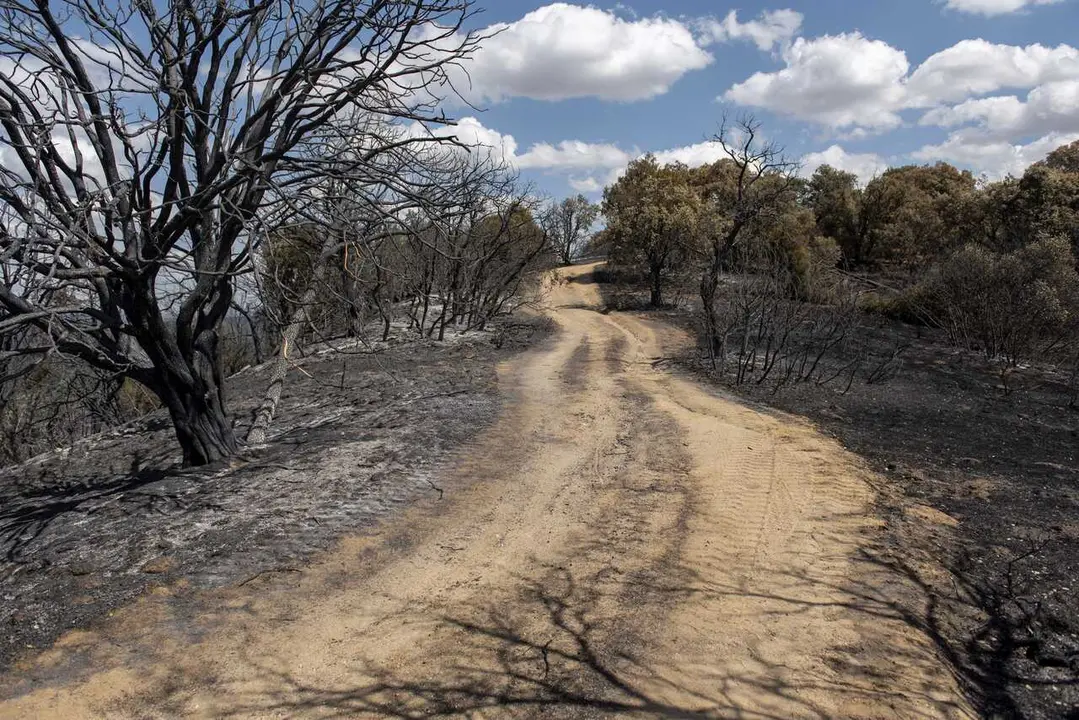 Vista tras el paso del fuego, a 23 de agosto de 2026, en Aldea del Fresno, Madrid (Espa&ntilde;a). 